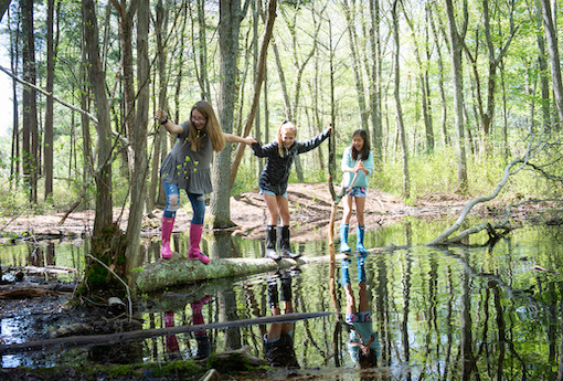 Three girls laugh as they cross a pond on a tree trunk while holding hands.