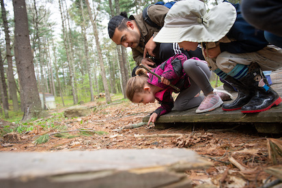 A teacher and students bend low to investigate the forest floor.