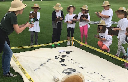 Kids in pitch helmets holding clipboards investigate a 'mock' poaching scene with a teacher on Safari Day.