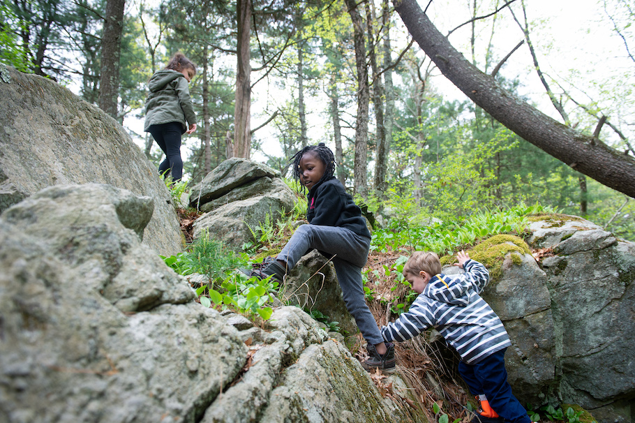 Three young children climb up rocks in the woods.
