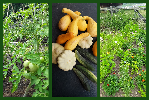 Vegetables, Squash, and Flowers