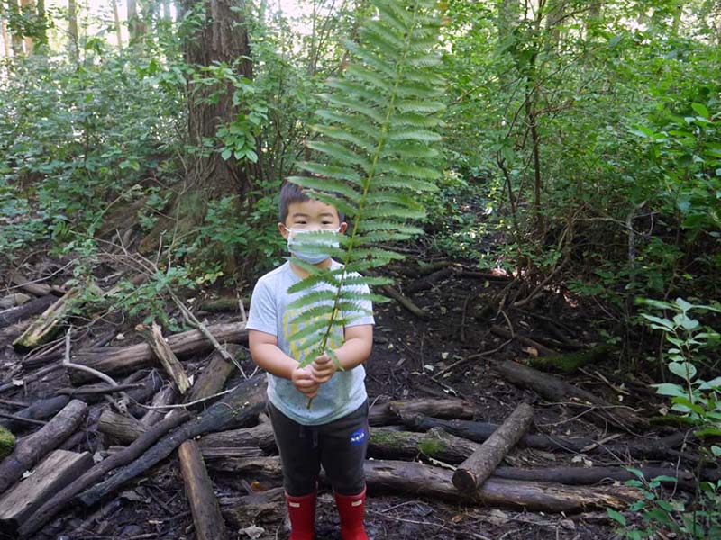 A kindergarten student standing in the forest holding a fern branch.