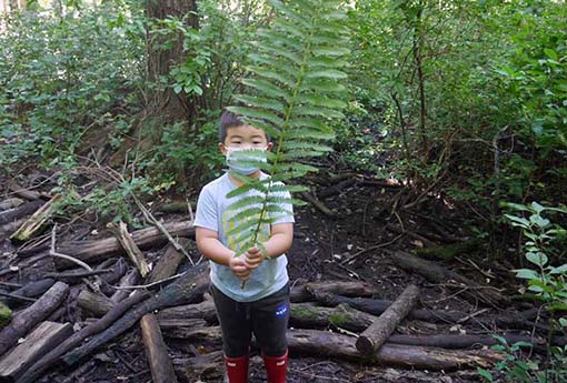 A kindergarten student standing in the forest holding a fern branch.}