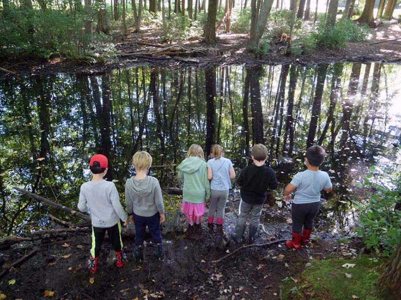 Kindergartens, with their backs to the camera, standing at the end of a forest pond.