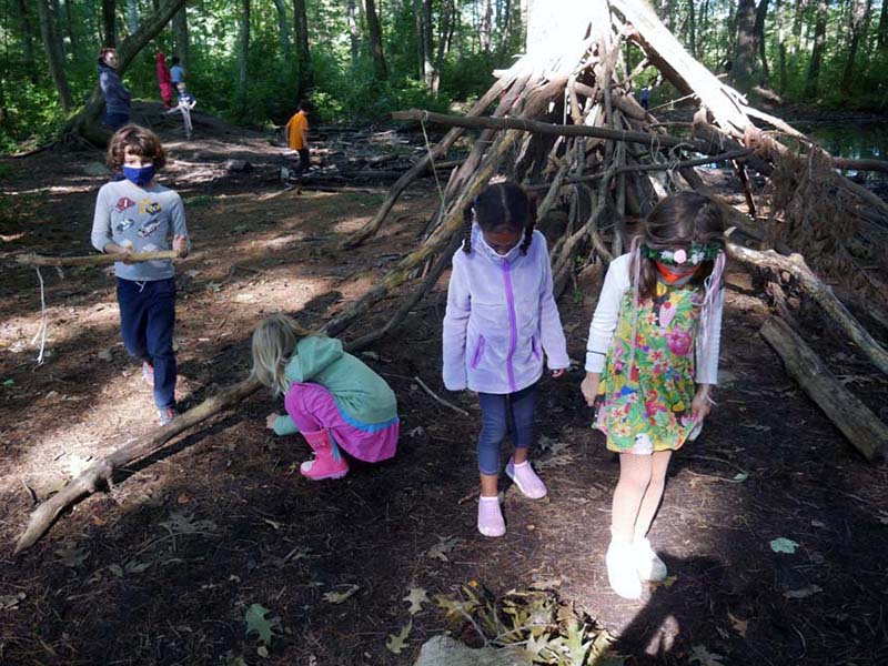 Kindergarten students looking at various things in the forest. Two students in the foreground and looking down at the ground, while others in the background are walking around and crouched down to get a closer look at something on the ground.