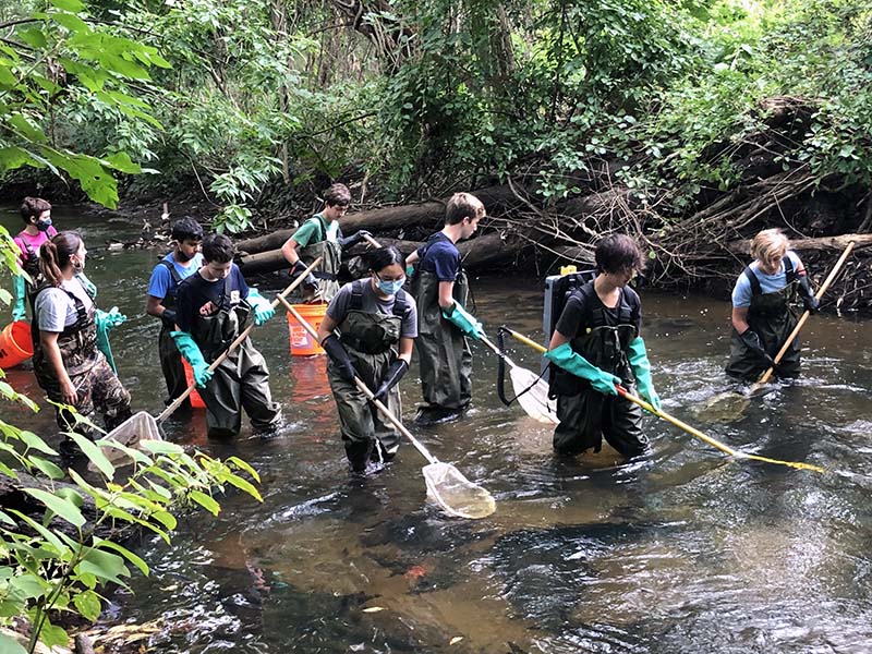 Students wearing waders and holding nets walk through part of a river while looking down at the water.