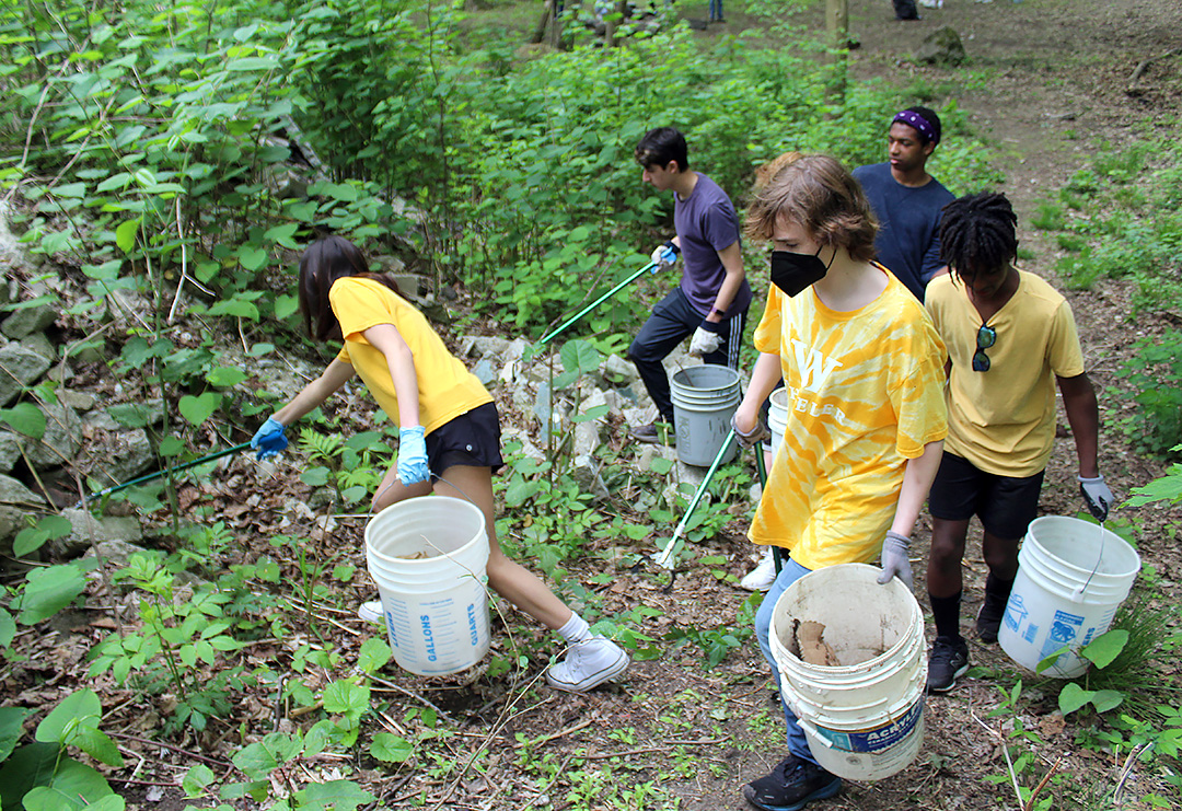A group of students hold buckets and poles and pick up trash among brush at a Providence-area park.