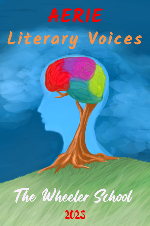 Cover of Aerie Literary Voices
