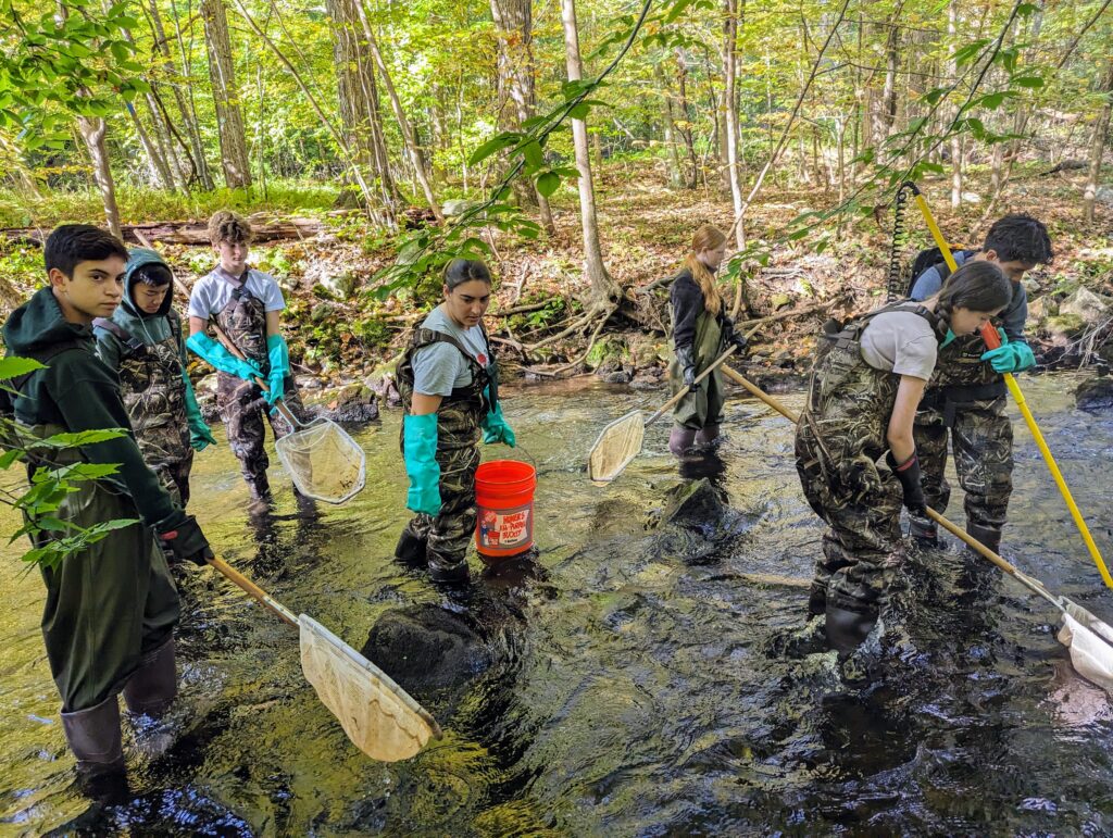9th graders are collecting samples in the water of the Moshassuck River in Pawtucket to study biodiversity.